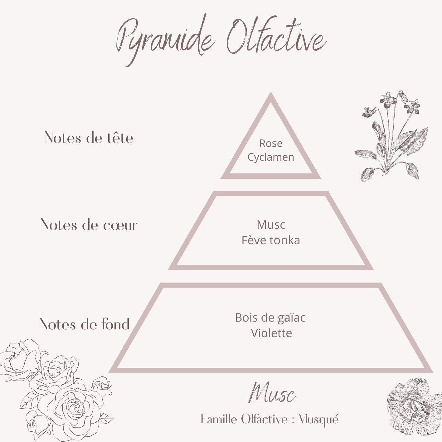 Fondants Parfumés Musc